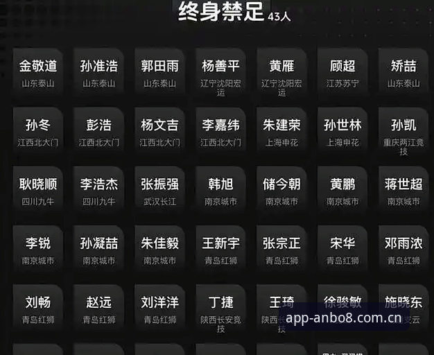 揭秘中国足协第三批禁足名单背后的真相——65名足球从业者的堕落之路